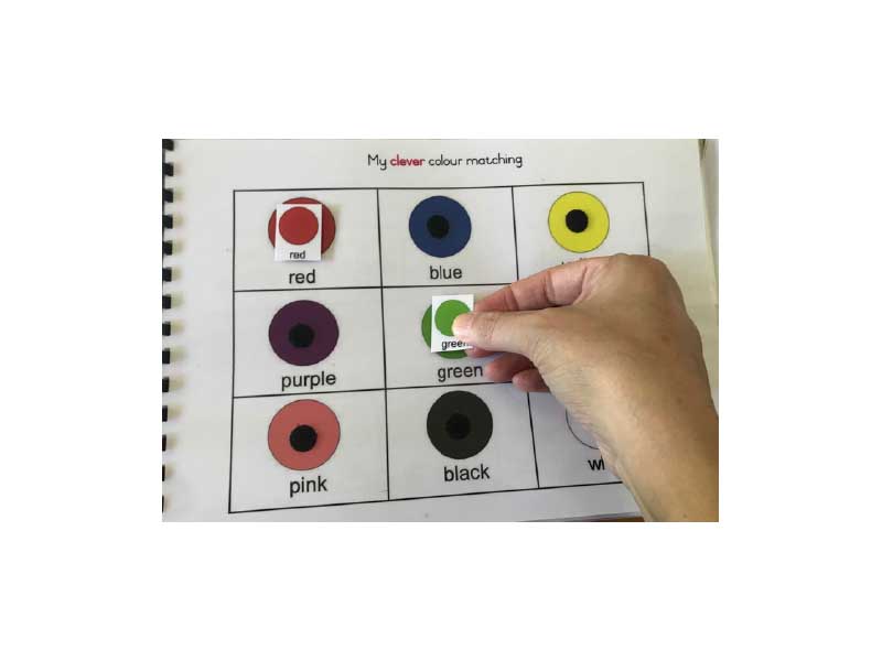 _0000s_0008_my clever book - teacher assessment - colour.jpg